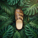 OOYA Flops Amazonia